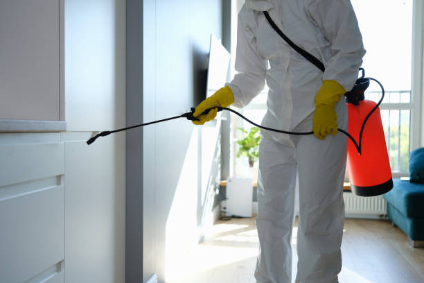 Reliable Yuma, AZ Mold Remediation Solutions