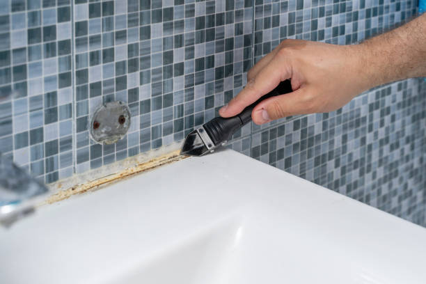 Best Black Mold Remediation in Yuma, AZ